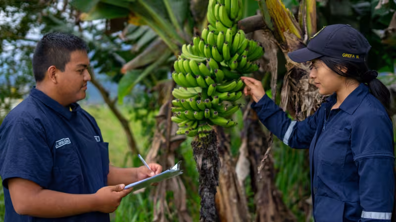 Climate Change Education: From Awareness to Action
