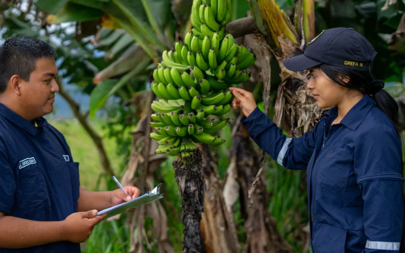 Climate Change Education: From Awareness to Action