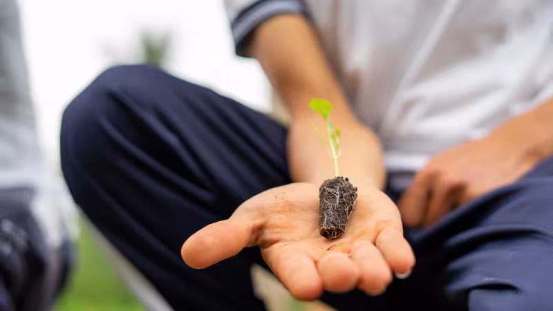 An Ecuadorian student holds a seedling in his palm symbolising growth 