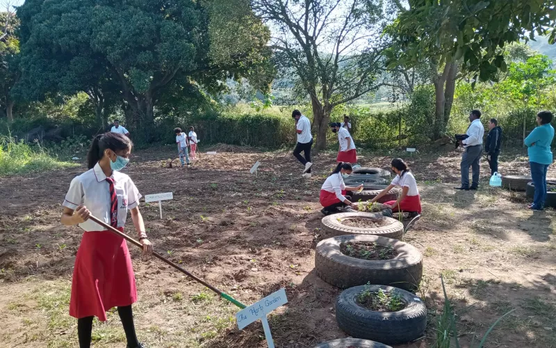 Learners attend to their school garden in South Africa