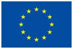 European Union Flag.