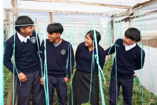 Four students in dark blue uniforms stand in a greenhouse, smiling and talking among tall plants.