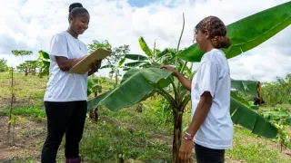 Two young women in white shirts looking at a plant and one young lady is taking notes.