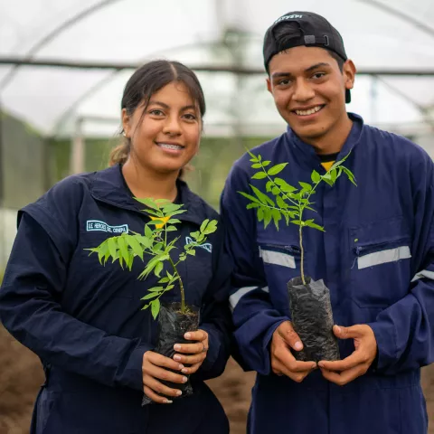 Embracing Digital Skills in Agrifood Education