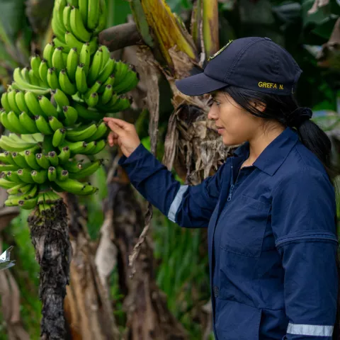 Climate Change Education: From Awareness to Action