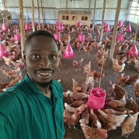 Dr Daniel is wearing a green shirt and smiles while taking a selfie in a chicken coop filled with numerous brown hens and pink feeders, conveying joy and pride.